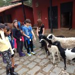 IMG_20180920_151842867